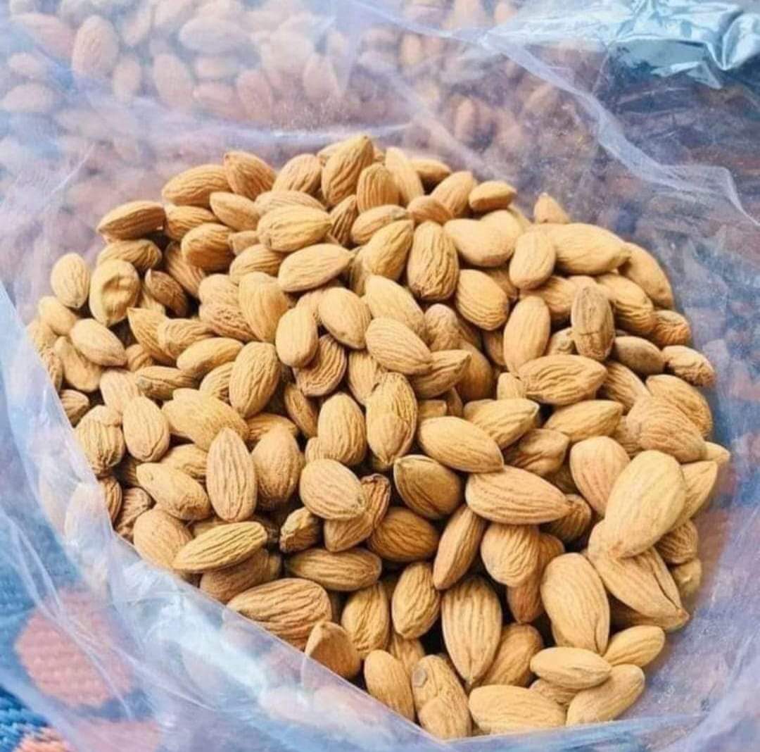 American Badam