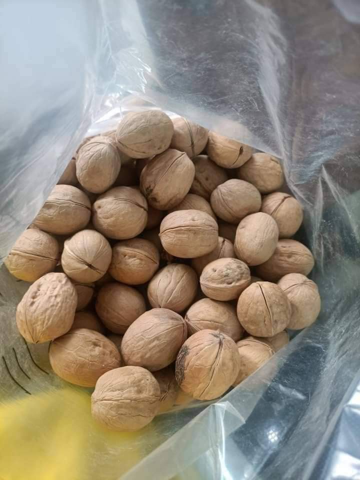 Akhrot (Walnuts In-Shell)